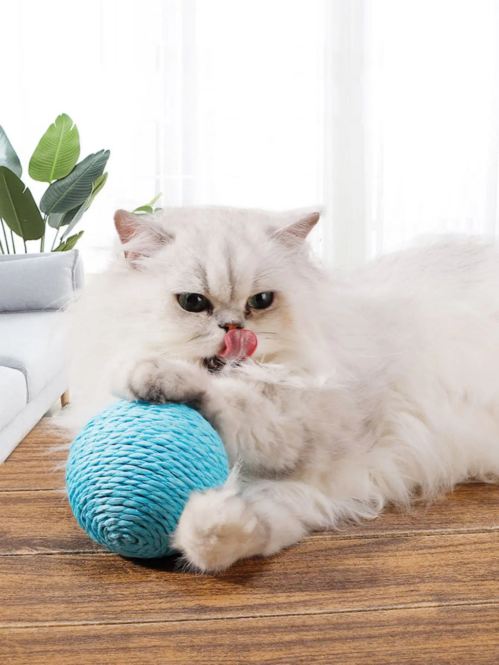 10CM Interactive Cat Scratching Ball Toy For Kitten Teeth Cleaning Anti Bite Cat Ball Sounding Toy Pet Supplies
