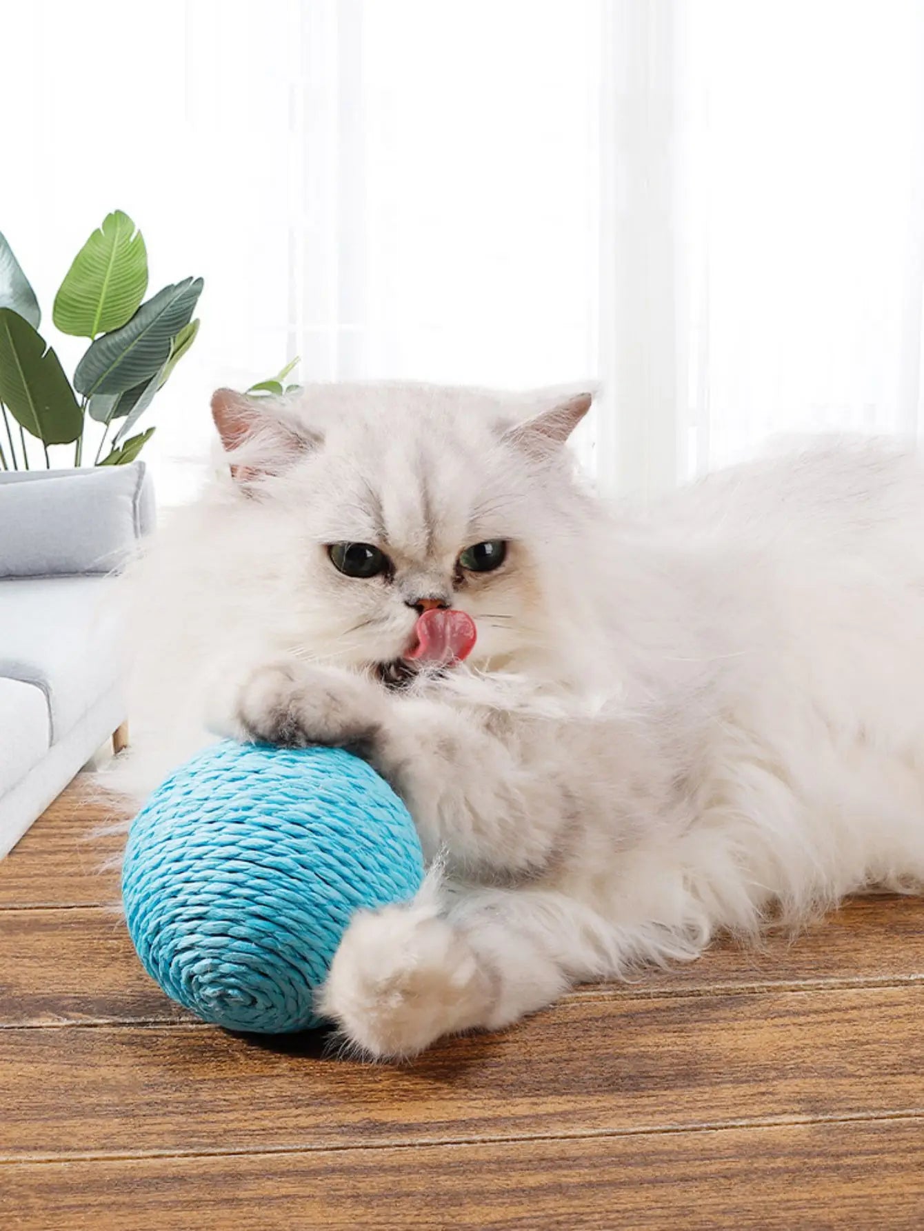 10CM Interactive Cat Scratching Ball Toy For Kitten Teeth Cleaning Anti Bite Cat Ball Sounding Toy Pet Supplies