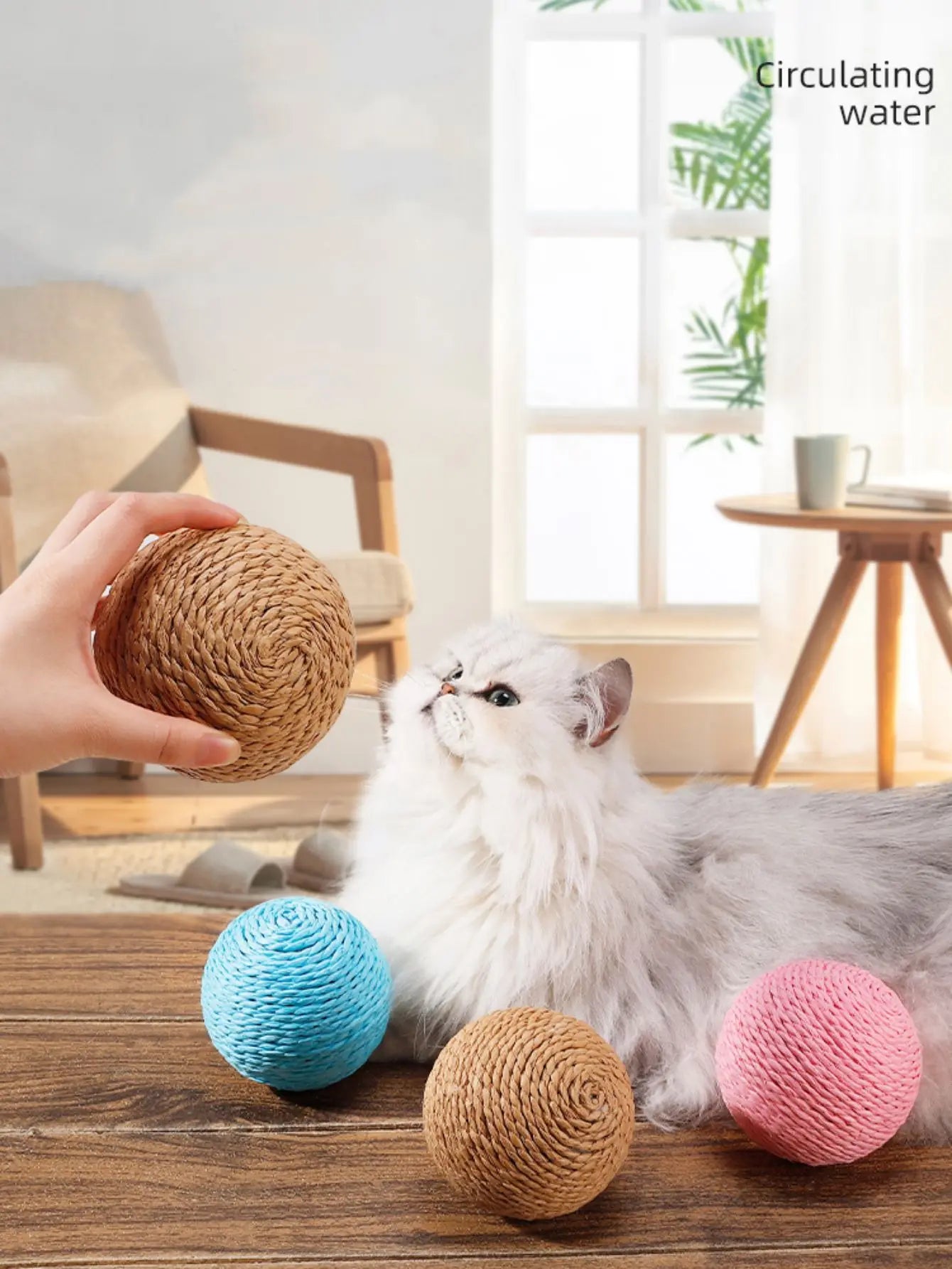 10CM Interactive Cat Scratching Ball Toy For Kitten Teeth Cleaning Anti Bite Cat Ball Sounding Toy Pet Supplies